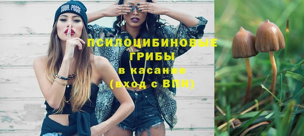 эйфоретик Ельня