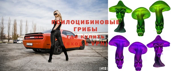 эйфоретик Ельня