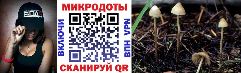 купить наркотики сайты  Дзержинский  Псилоцибиновые грибы мухоморы 